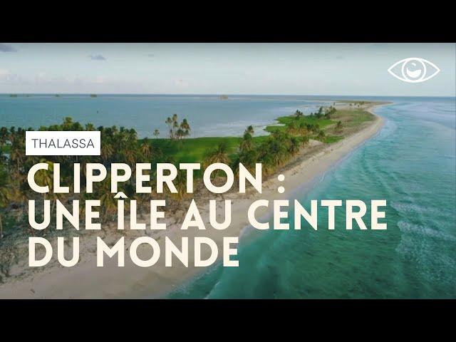 Clipperton, une île au centre du monde - Thalassa