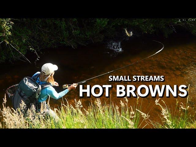 Small Streams & Gorgeous, Big Brown Trout Fly Fishing