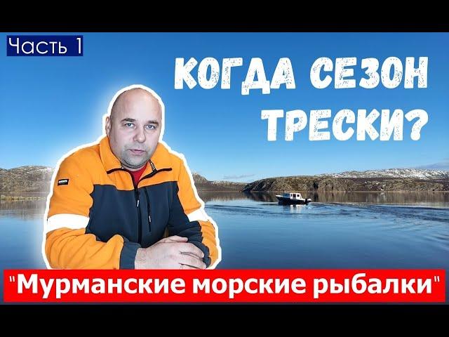 Когда сезон трески? Ответ на вопрос подписчика. Мурманские морские рыбалки. Рыбалка на треску.