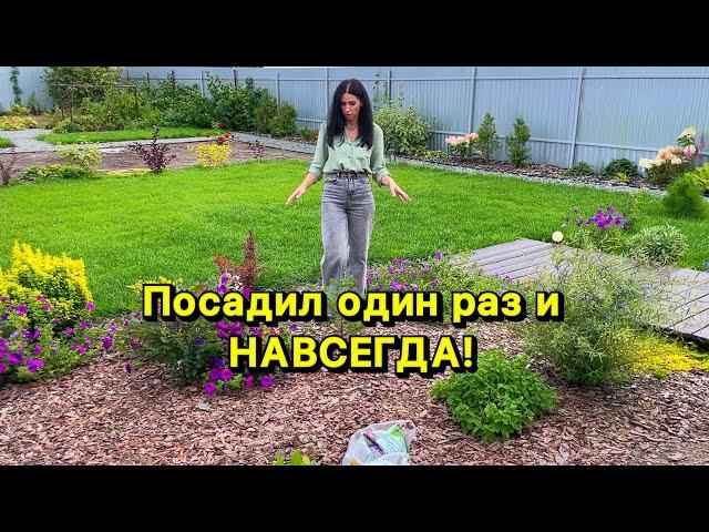 Как создать САД, который не захочется переделать! Это реально?