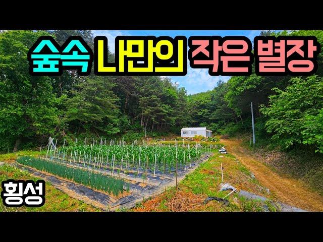 E924 피톤치드 소나무숲 독립적인 남향의 토지와 농막/고정가 1억 1천/지하수, 화목난로/갑천면소재지 약 6분/새말IC, 횡성 ktx역사, IC  약 22~23분/급매/매매