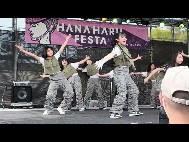 【はな はるフェスタ】高校生ダンスも見てるだけで楽しくなりますよ /徳島.2024