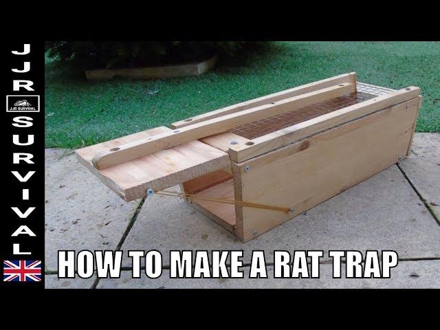 HOW TO MAKE A RAT TRAP