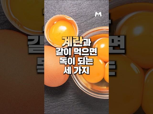계란과 같이 먹으면 독이 되는 3가지 #메타웰건강정보 #계란 #달걀 #우유 #감 #녹차 #홍차 #유제품 #메타웰영양제 #메타웰 #건강정보 #건강상식 #영양제 #독 #해독 #변비