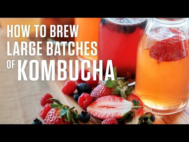 How to Make Kombucha in Large Batches to Serve on Draft