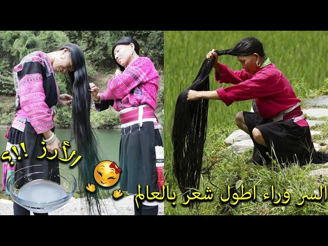 The fermented rice recipe that used in Huangluo Village, China,  the longest hair in the world