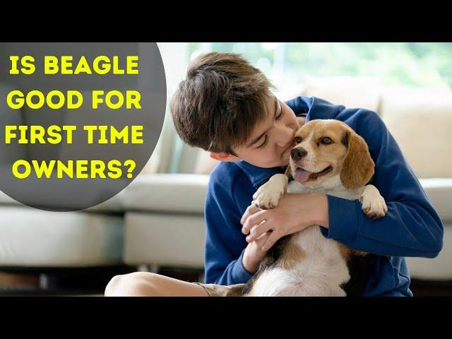 Is a beagle a good house dog
