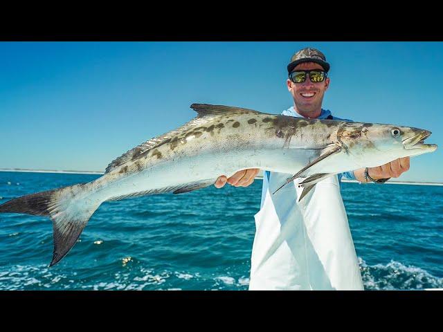 33 Hours of Sight Fishing? Hunting Florida's Most Elusive Inshore Gamefish!