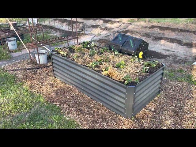 An Easy to Assemble Raised Garden Bed You Can Buy on Amazon -  Best Choice Products