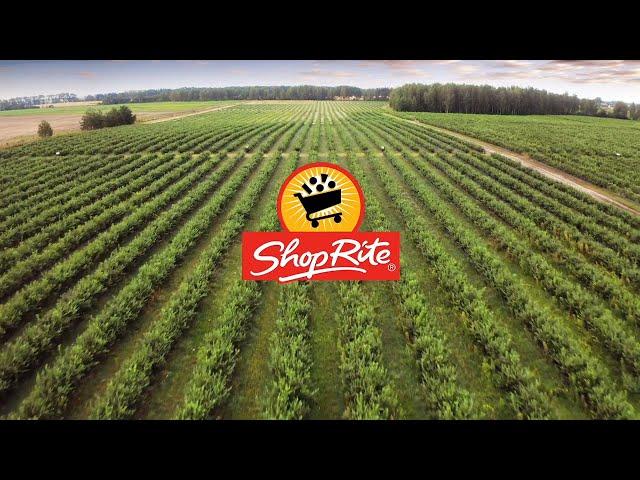 ShopRite Blueberries: Farm Fresh to You | ShopRite Grocery Stores