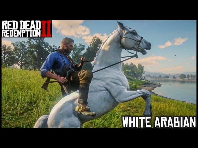 the White Arabian - Red Dead Redemption 2 Story Mode
