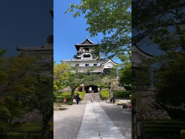 【愛知県　犬山市】国宝犬山城　木曽川 #shorts #風景 #景色 #inuyama #castle #japan