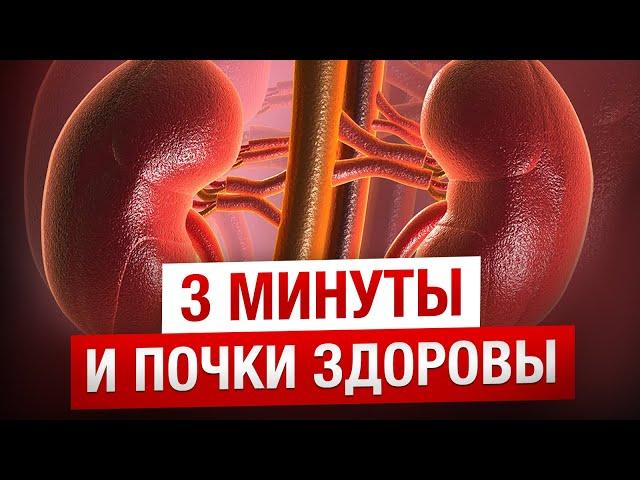 Самые полезные упражнения для ПОЧЕК / Комплекс упражнений для здоровья почек
