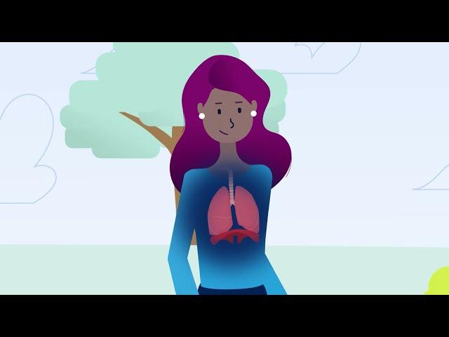 How Lungs Work