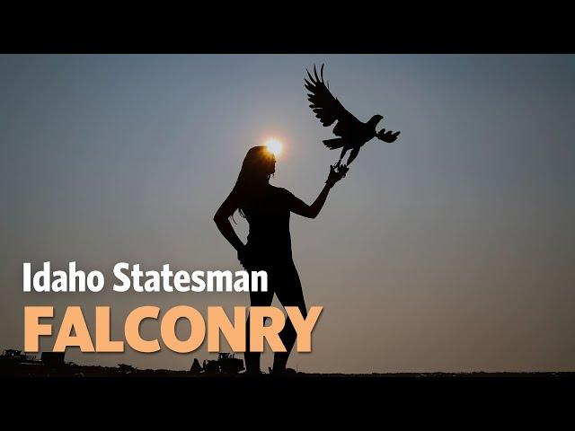 Falconers Police Pesky Flock Of Seagulls At Ada Co. Landfill