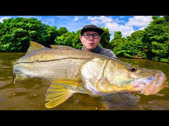 Je PECHE le poisson le plus INCROYABLE de toute ma VIE !!! ( Guadeloupe exploration part 2 )