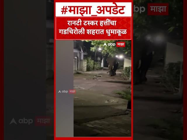 Gadchiroli Elephant : रानटी टस्कर हत्तींचा गडचिरोली शहरात धुमाकूळ #gadchiroli #elephant