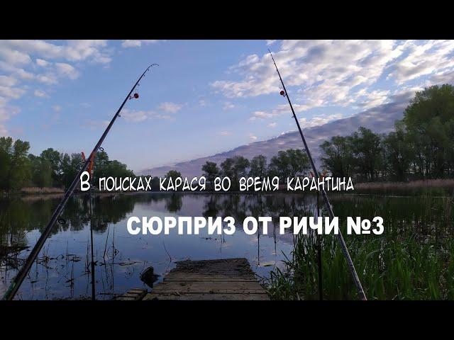 Карась на полкило. Рыбалка на Десёнке в Киеве 2020. Сюрприз от Ричи.