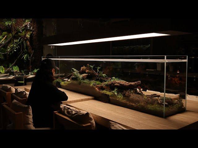 Creating 3 concept VIVARIUM for Dartfrog and other animals | 다트프록과 그 외 동물을 위한 3가지 컨셉 비바리움 만들기 | EP.2