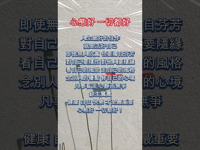 人生哲理《心態好 一切都好》#人生智慧 #理財規劃 #時間管理 #職場進階 #情緒管理 #反思 #調節心態