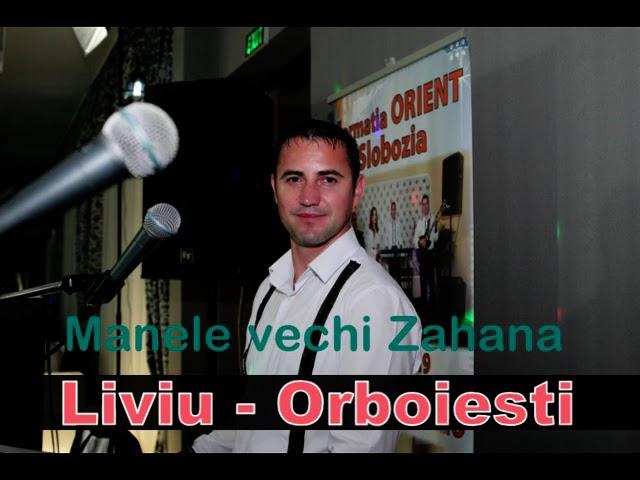 Cele mai ascultate manele vechi la Zahana 2008-Liviu de la Orboiesti live-Si cu buzunaru gol