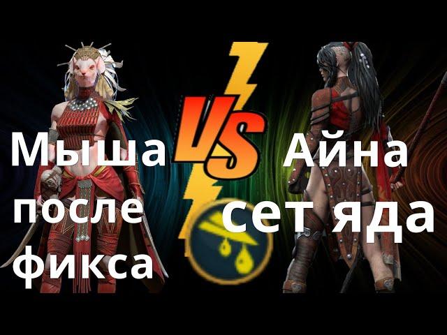 Raid Shadow Legends Фейн vs Айна, сет яда после апа, анкил