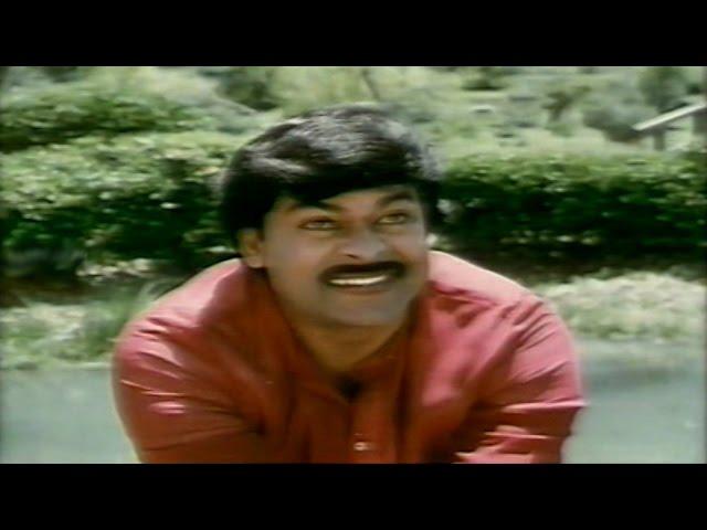 Rudraveena || Tarali Raada Thane Video Song || Chiranjeevi, Shobana