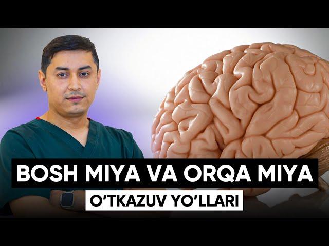 Bosh miya va orqa miya o'tkazuv yo'llari!