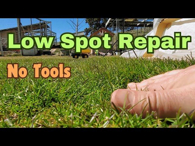 How To Fix A Low Spot In The Lawn ~ No Tools