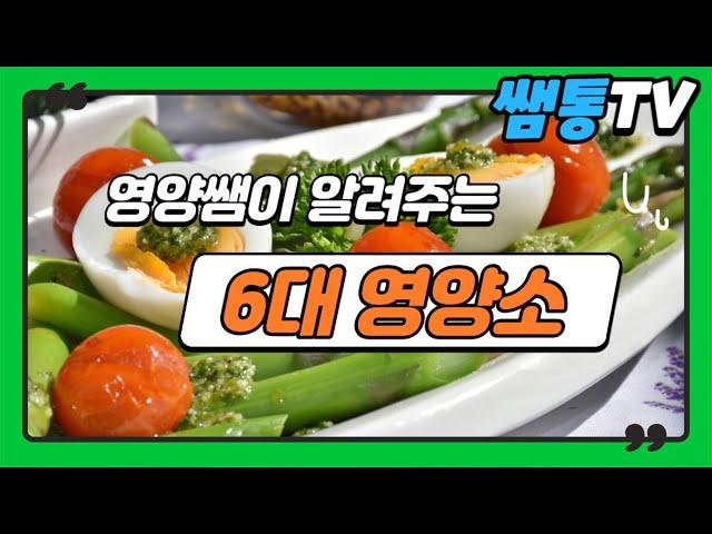 영양쌤이 알려주는 6대 영양소 알아보기