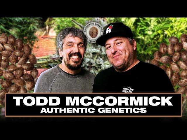 Todd McCormick: Where Did Real HAZE Go?, Playboy Mansion, Raids, Prison, Opening Woodstock