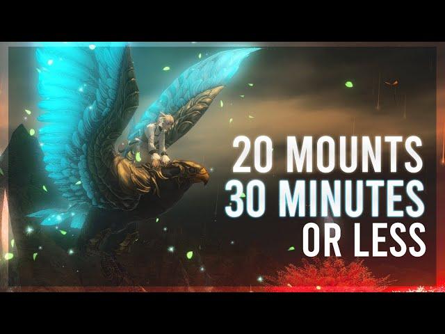 Mounts that take 30 Minutes or Less! | FFXIV | Sprout Friendly