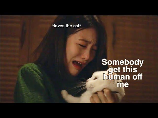 The animals of kdramaland