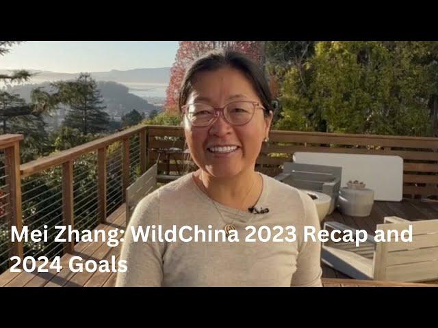 Mei Zhang's Insights on China Travel in 2023