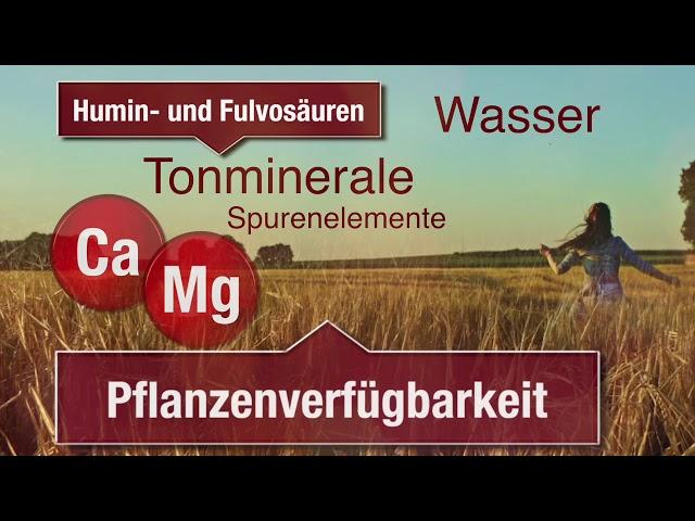 Gülle und Rotte mit Huminstoffen und Bakterien optimieren, Agrostim Biotechnologie