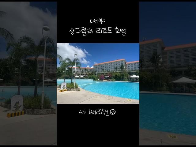 세부 샹그릴라 리조트 호텔 앞 물고기 #세부 #샹그릴라 #스노클링 #브이로그 #shots #snokeling