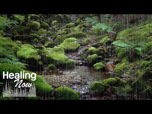 Water and Rain Sounds in a Deep Forest where Fairies seem to Live - Nature Sounds for Sleep, Relax