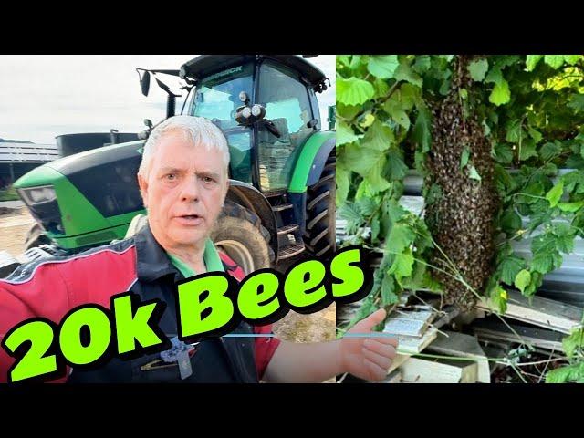 You Won’t BELIVE What Landed in This Garden! - Bee SWARM VS Farmer — Who Wins?