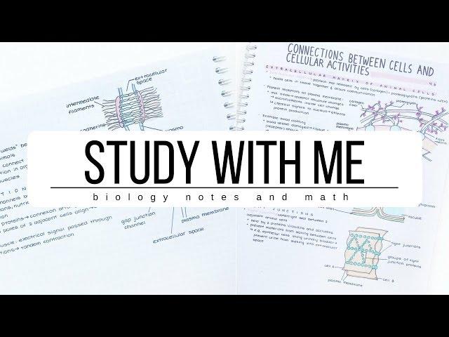 Study With Me ️Biology notes and Math | studytee