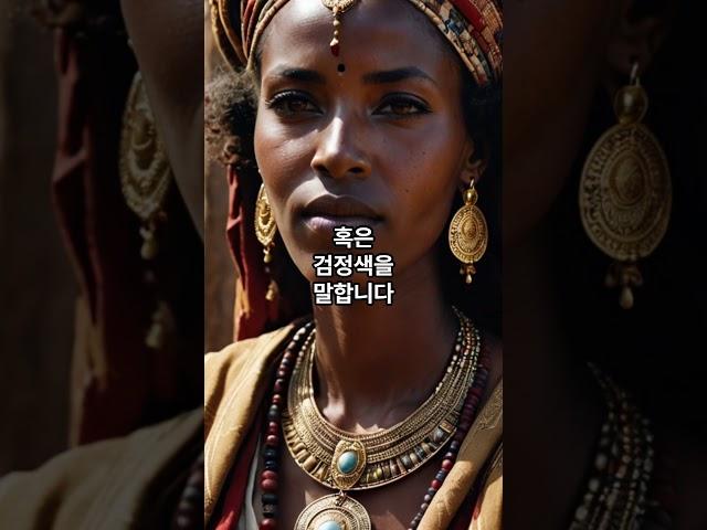 세계 민족의 뿌리