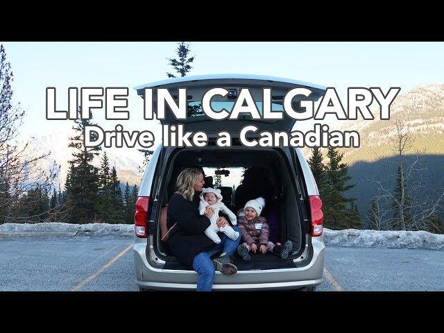 LIFE IN CALGARY: Drive like a Canadian