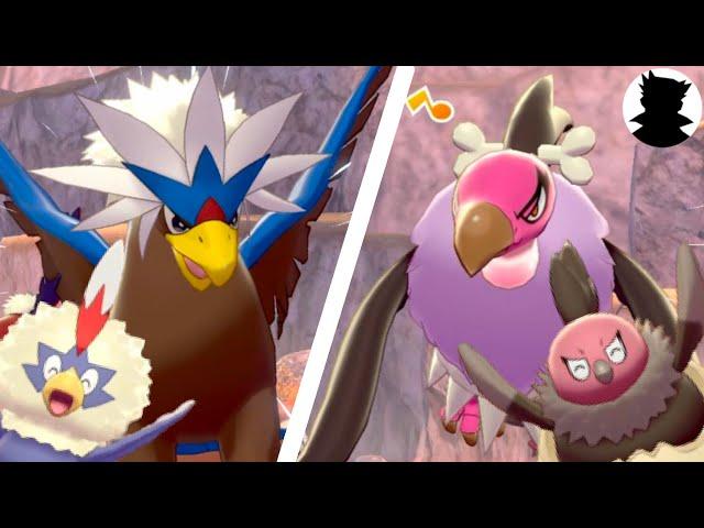 【Pokemon Camp】Braviary・Rufflet vs Mandibuzz・Vullaby＆Shiny