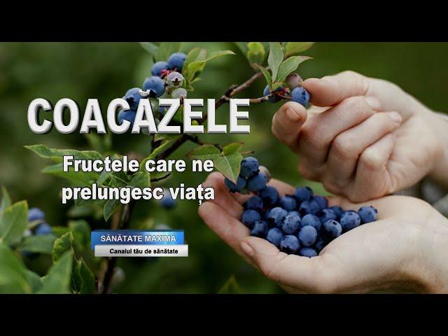 COACAZELE - Fructele care distrug celulele canceroase si ne prelungesc viata