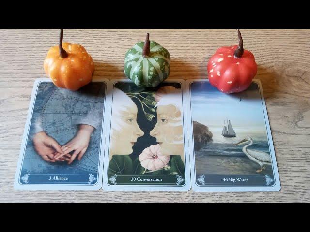 ️CAREER AND FINANCES WHAT TO EXPECT NEXT: PICK A CARD- TIMELESS TAROT