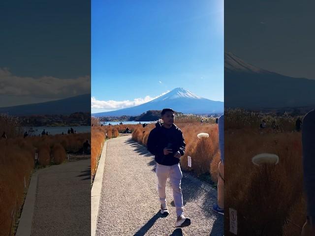 What a wonderful world! #japan #mtfuji