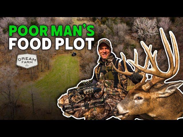 Budget Food Plots for Everyone, Poor Man's Plots | Dream Farm w/ Bill Winke