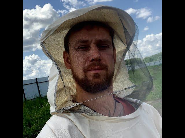 Как поймать пчёл быстро и дешево. How to catch a swarm of bees