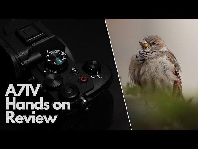 Sony A7 IV - HANDS ON REVIEW - Nature // Bird Eye-AF