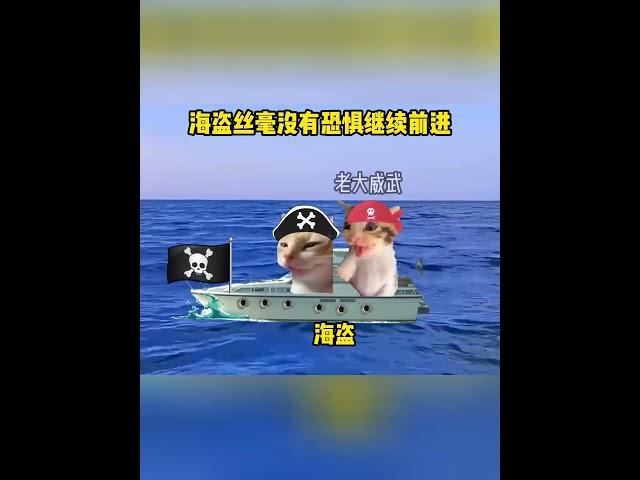 当新手海盗遇到俄罗斯商船 #猫meme#战斗民族 #海盗 #猫meme小剧场  #搞笑 #故事 #cat  #貓 #funny #cute  #迷恋 #pets #memes