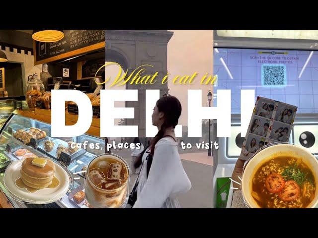 What i eat in Delhichandni chowk/majnu ka tila
